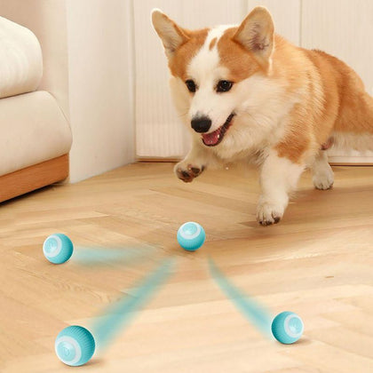Bola Giratória Para Pet – Brinquedo Inteligente e Divertido Com Luzes e Usb