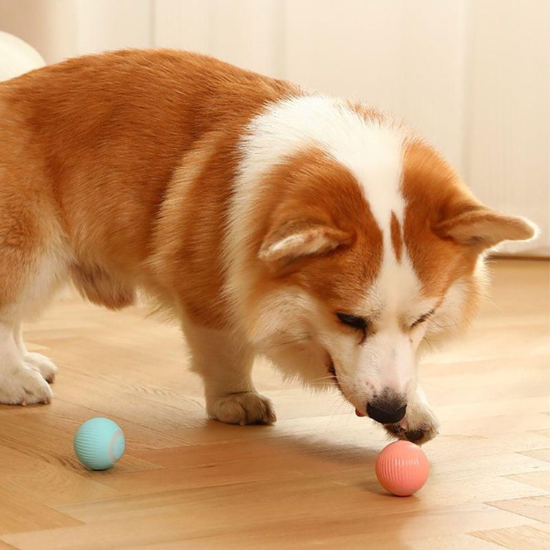 Bola Giratória Para Pet – Brinquedo Inteligente e Divertido Com Luzes e Usb