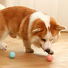 Bola Giratória Para Pet – Brinquedo Inteligente e Divertido Com Luzes e Usb